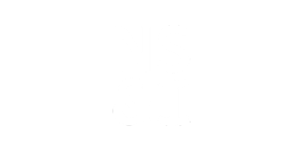 NSI-Logo