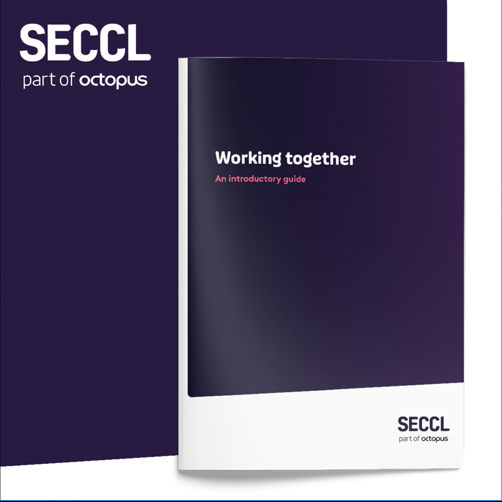 Seccl---Working-Together-Adviser-3.0